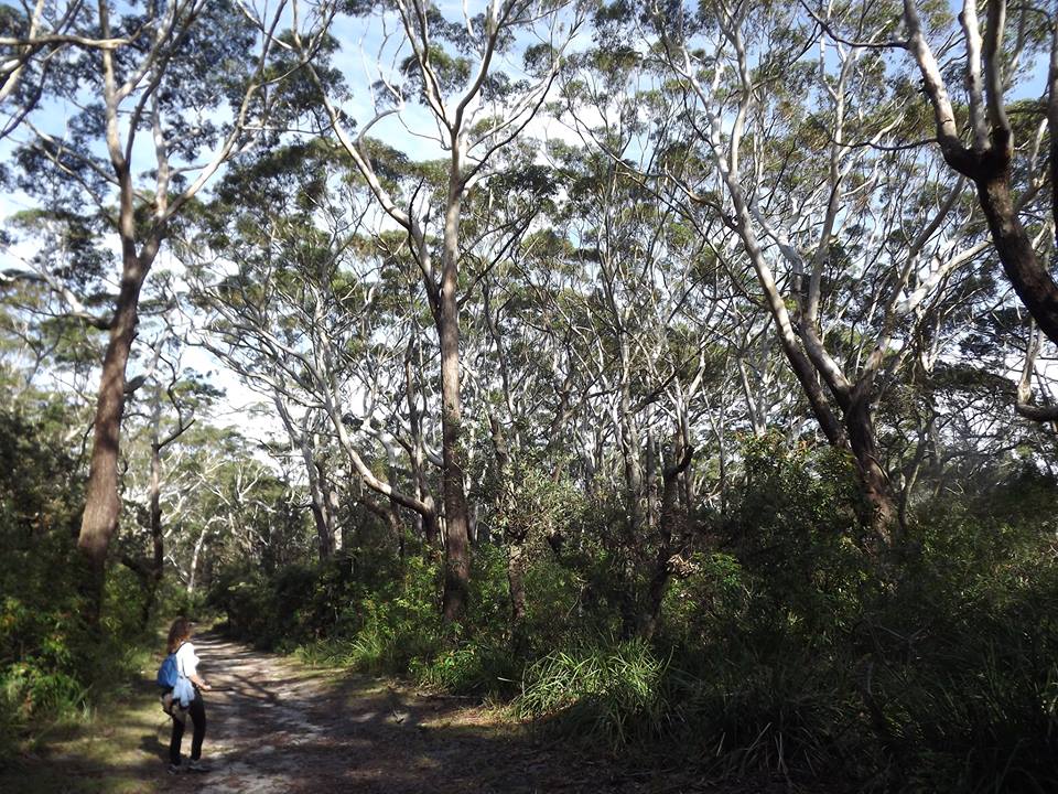 Road trip Melb,Cairns