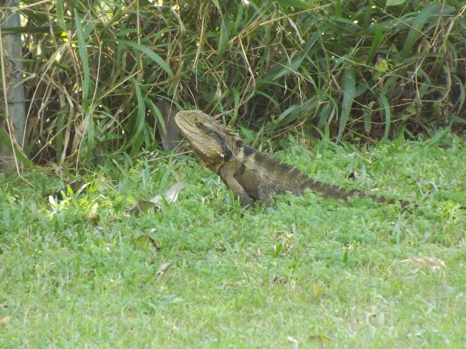 Road trip Melb,Cairns