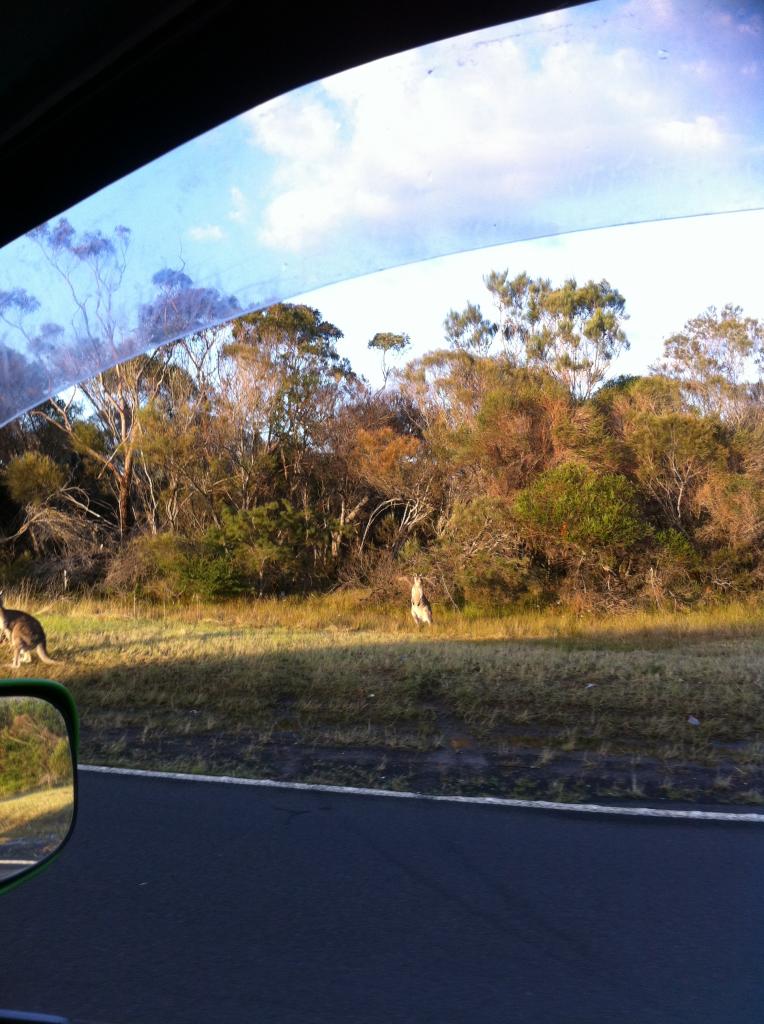 Road trip Melb,Cairns