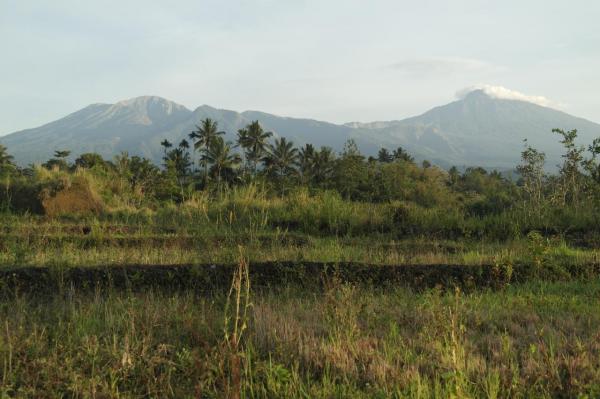 lombok